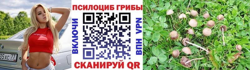 купить  сайты  Окуловка  Галлюциногенные грибы GOLDEN TEACHER 